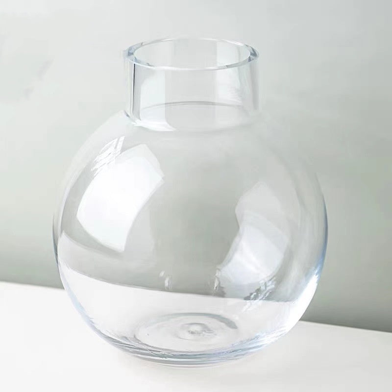 Creative Glass Vase Transparent Hydroponic Flower Vase