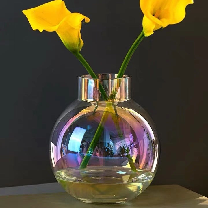 Creative Glass Vase Transparent Hydroponic Flower Vase