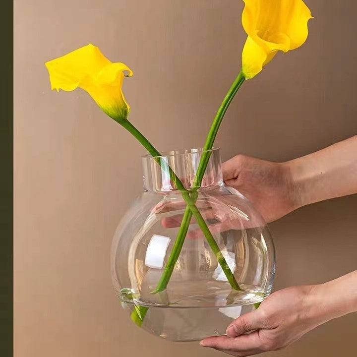 Creative Glass Vase Transparent Hydroponic Flower Vase